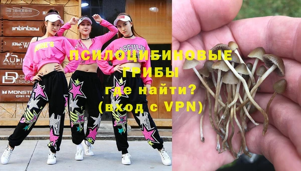 jwh Белокуриха