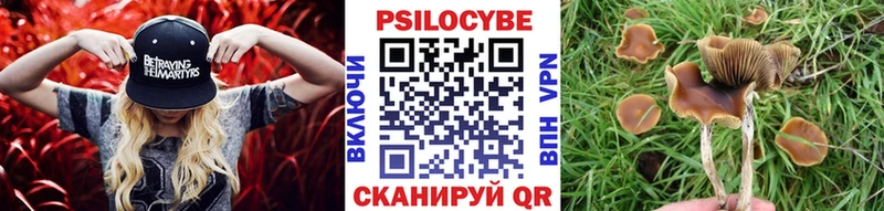 Псилоцибиновые грибы мухоморы  Воркута 